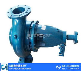 型双吸泵,zjl液下渣浆泵,卧式渣浆泵 安国市东蓝水泵厂