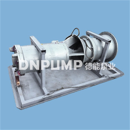 东北潜水贯流泵_德能泵业_潜水贯流泵卧式安装