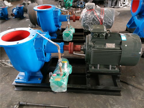 南京大流量hw型混流泵 双能水泵 大流量hw型混流泵价格