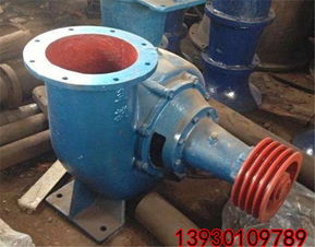 延寿250hw 12混流泵 高扬程混流泵