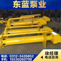 型双吸泵,zjl液下渣浆泵,卧式渣浆泵 安国市东蓝水泵厂