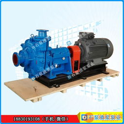 100zjg i b42渣浆泵尾矿泵洗煤厂渣浆泵厂家