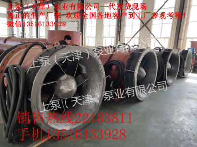 云南楚雄自动化全贯流潜水电泵