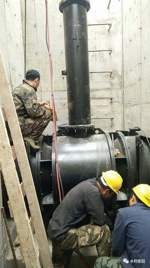 卧式全贯流潜水泵 革新设计与应用前景