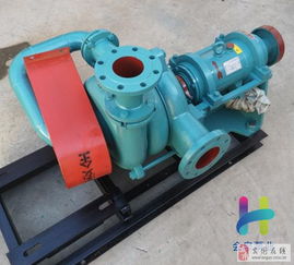 西伯章45kw压滤机入料泵 卧式全贯流泵的专业解析