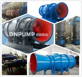 德能泵业 专业制造160kw400qzb大流量潜水贯流泵与卧式全贯流泵的领先厂家