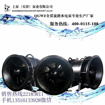 河北石家庄漂浮式全贯流泵与卧式全贯流泵的技术特点与应用分析